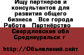 Ищу партнеров и консультантов для развития общего бизнеса - Все города Работа » Партнёрство   . Свердловская обл.,Среднеуральск г.